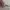 Burberry Streetwear Casual Bomber jacket Pria cream photo 7