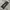 Japanese brand Y2K Avant Garde Casual pants Pria black photo 2