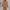 Luxury Minimalist Wanita tan photo 3