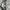 Neil Barrett Grunge Biker Jeans Pria silver blue photo 5
