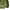 niko and ... Streetwear Gorpcore Fleece Pria green photo 4