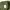 niko and ... Streetwear Gorpcore Fleece Pria green photo 5