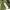 niko and ... Streetwear Gorpcore Fleece Pria green photo 6