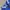 Sportswear Jersey Pria blue photo 3