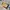 Sportswear Jersey Pria yellow photo 2