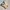 Sportswear Jersey Pria yellow photo 1