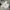 Sportswear Jersey Pria white photo 2