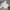 Sportswear Jersey Pria white photo 4