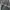Japanese brand Grunge Avant Garde Short Pria gray photo 3