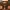 Guess ICONIC Ori
