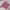 Sportswear Jersey Pria red photo 5