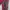 Japanese brand Goth Emo Dungaree Pria red black photo 3