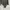 ZARA Indie Coquette Bodysuit Wanita gray photo 4