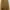 Coquette Casual Skinny jeans Wanita brown photo 2
