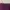 Minimalist Casual Culotte Wanita purple photo 4