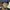 1x1Archive
