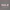 Caprloped