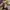 Rvll_03 Nicetry