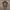Pocut 222