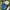 Amorated