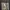 Everythingaboutscnd