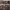Archive By Vault