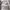 Cloththetic