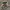 Second_brand233
