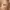 Bosenstuff_