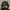 ƒєєℓιтѕтιℓℓ🦅𝓑𝓤𝓨 1 GET 1 FREE