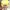 Citta