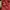 Ans