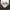 Carl Johnson