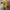 Anonym