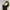 Vclosett