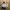 Far