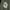 PYS Username