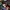 555sub