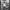 Warehouse_news