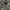 Cemeteryl ID