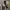 HAN