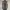 Prelovedbymoi20