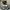 15archive