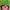 Hi9url.prlvd