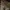 Curlytax2567