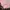 Unknown 04