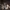 User250120191614