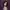 Lingered