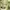 Green Olive Studio