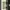 01 Thrift Room